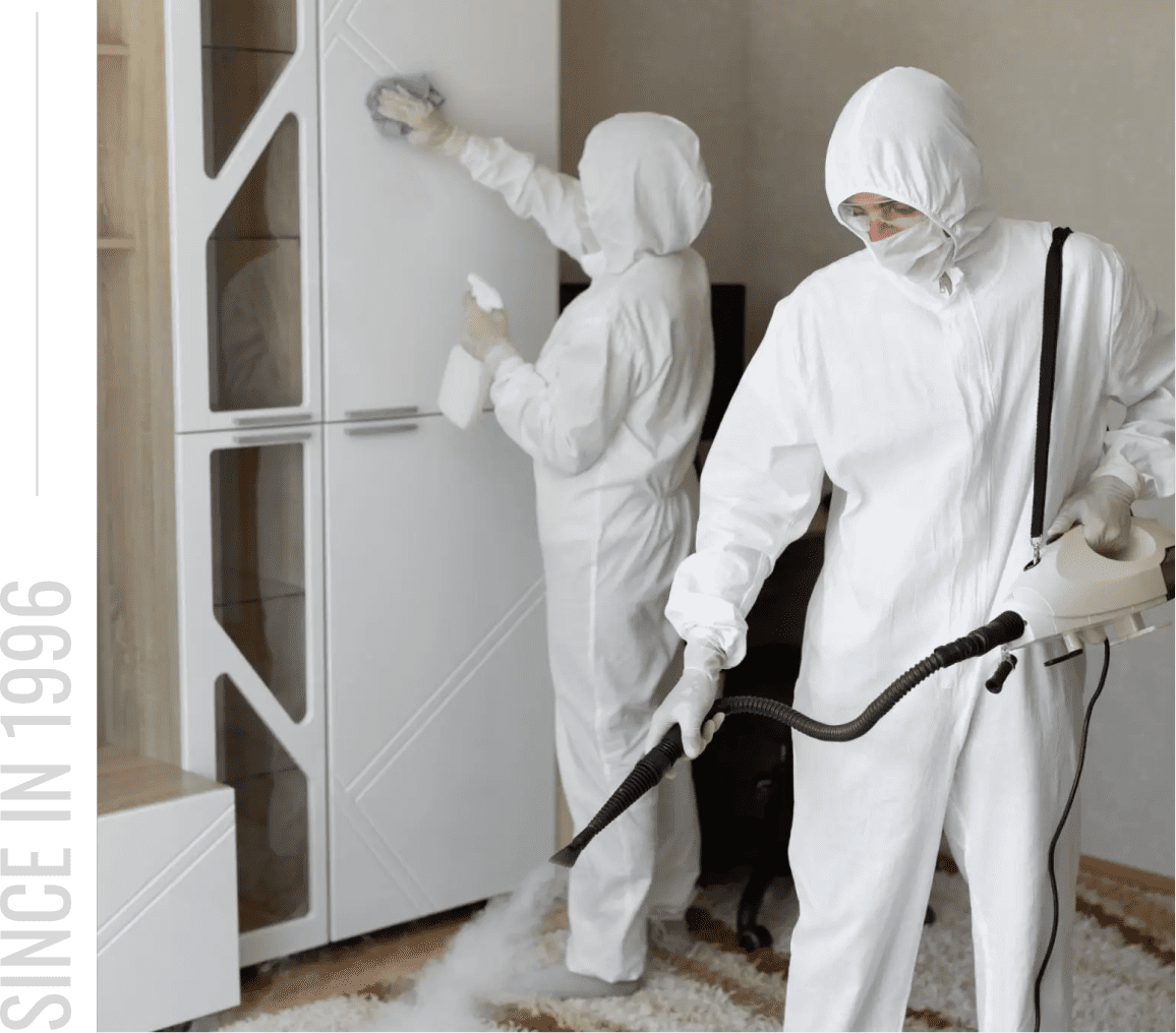 Disinfection team in white protective gear